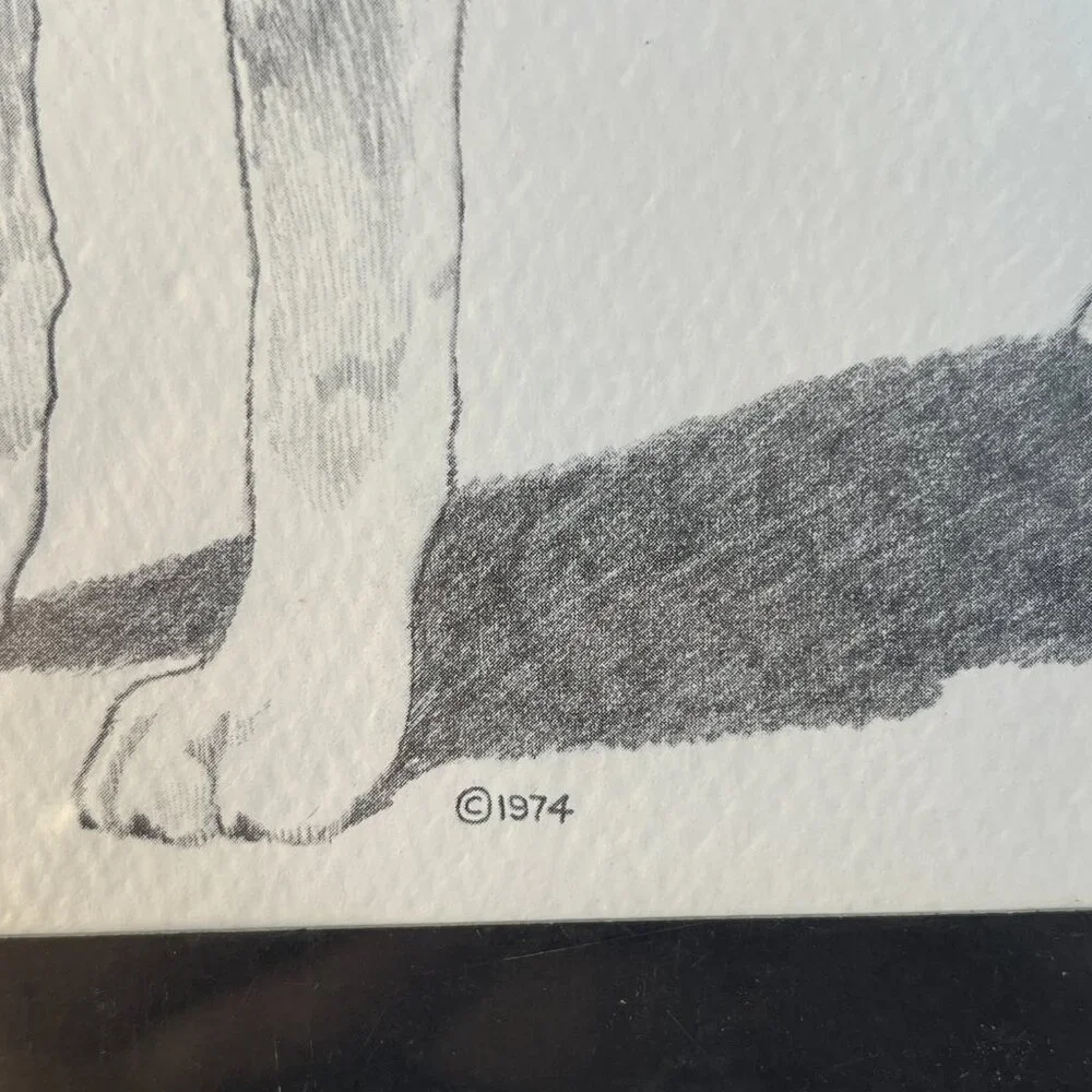 2/$50 🌸 Vintage 1974 Labrador Sketch - Picture 6 of 8